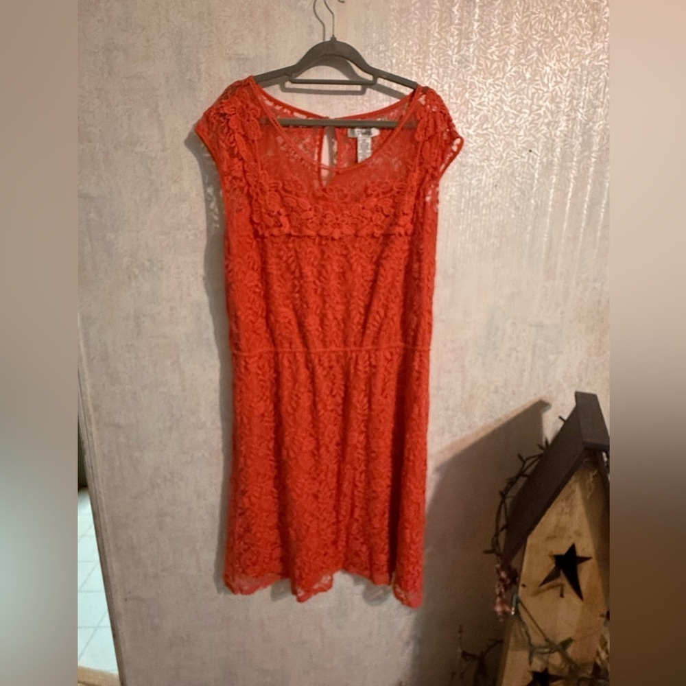Pinky Coral Lace Midi Dress, Cotton Blend, Sz 2x Beautiful